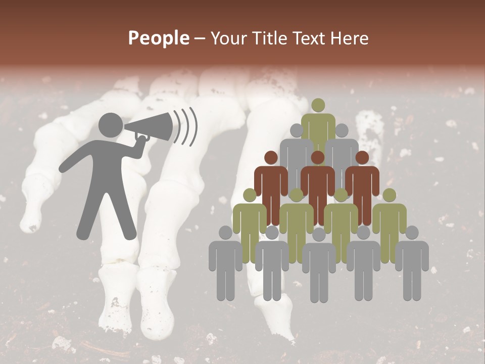 Skeleton Skeletal Discovered PowerPoint Template