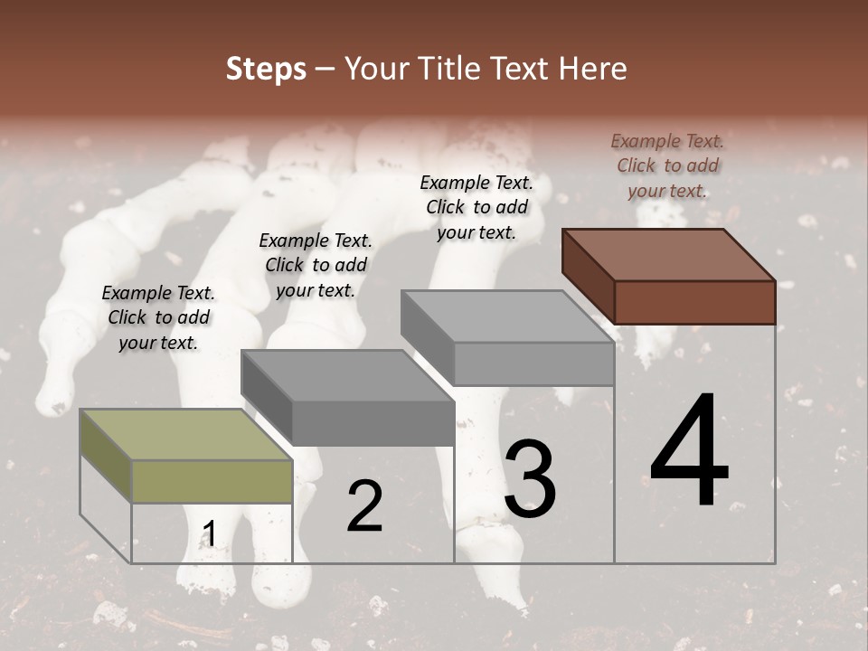 Skeleton Skeletal Discovered PowerPoint Template