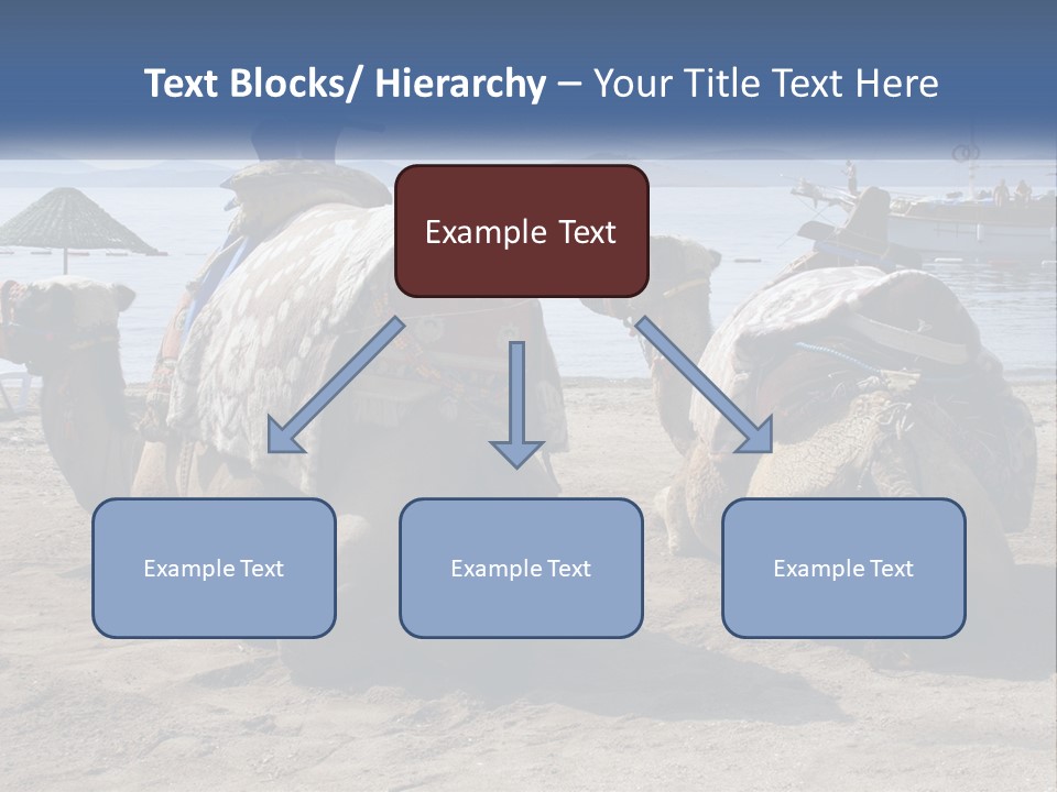 Summer Transport Travel PowerPoint Template