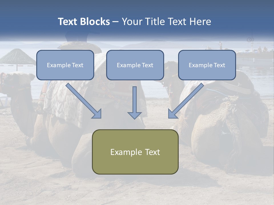Summer Transport Travel PowerPoint Template