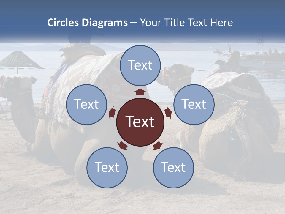 Summer Transport Travel PowerPoint Template