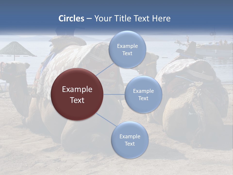 Summer Transport Travel PowerPoint Template