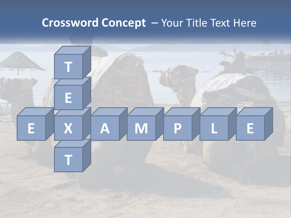 Summer Transport Travel PowerPoint Template