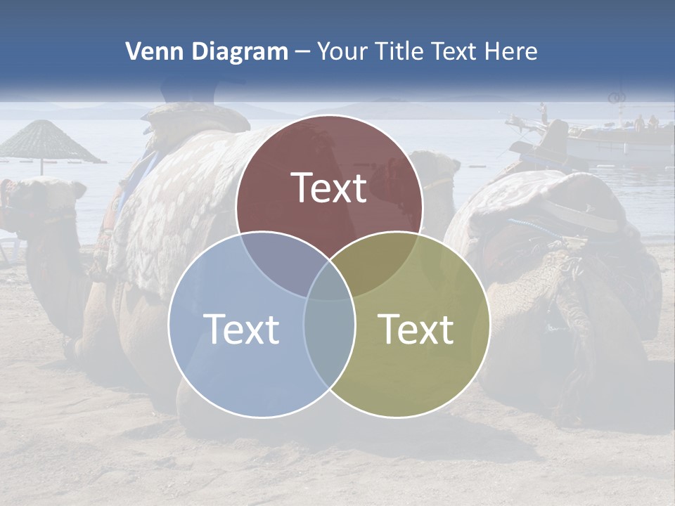 Summer Transport Travel PowerPoint Template