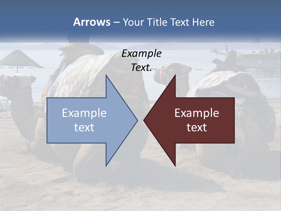 Summer Transport Travel PowerPoint Template