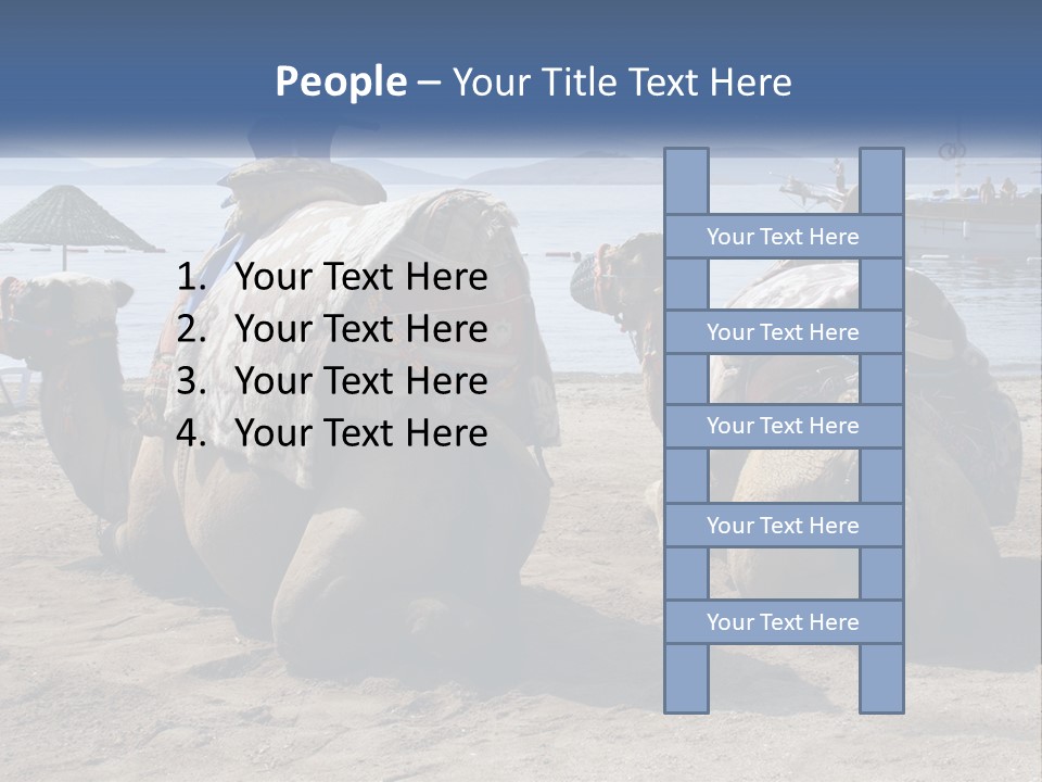Summer Transport Travel PowerPoint Template