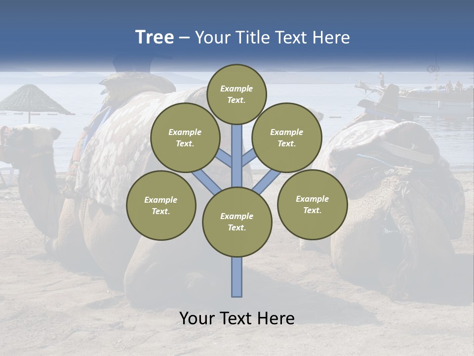 Summer Transport Travel PowerPoint Template