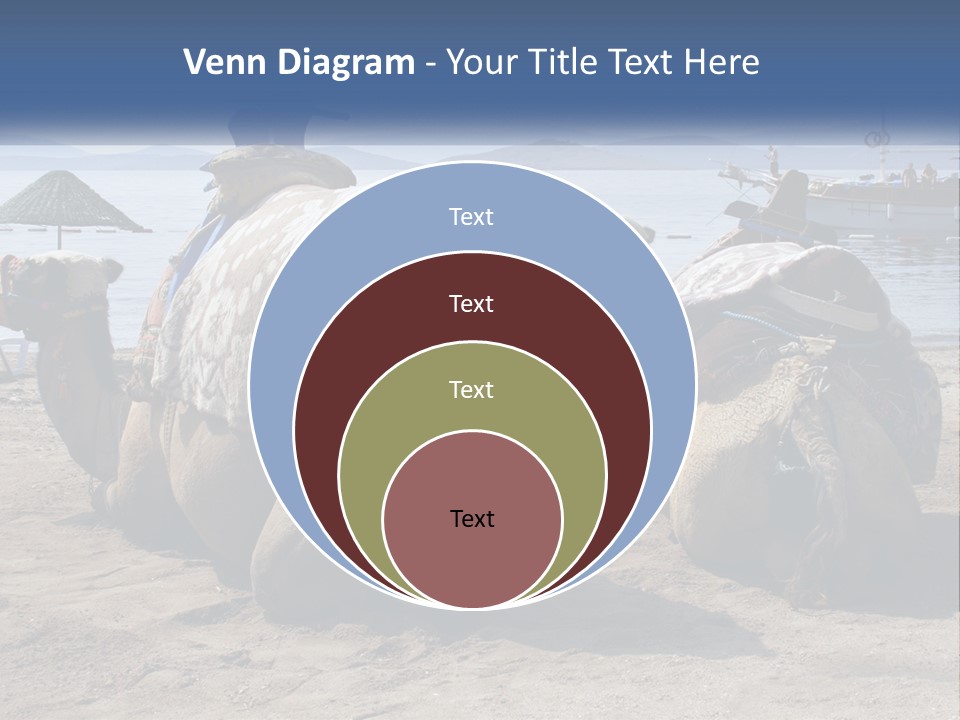 Summer Transport Travel PowerPoint Template
