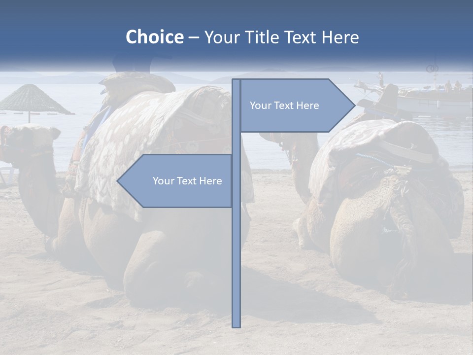 Summer Transport Travel PowerPoint Template