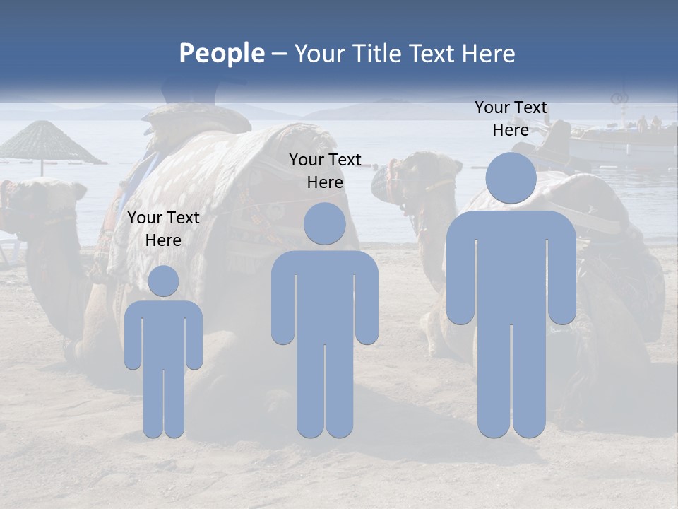 Summer Transport Travel PowerPoint Template