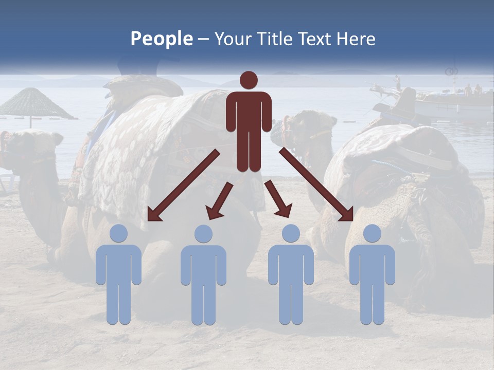 Summer Transport Travel PowerPoint Template