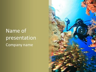 Underwater Dslr Sinai PowerPoint Template