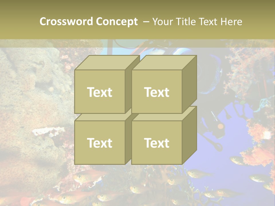 Underwater Dslr Sinai PowerPoint Template