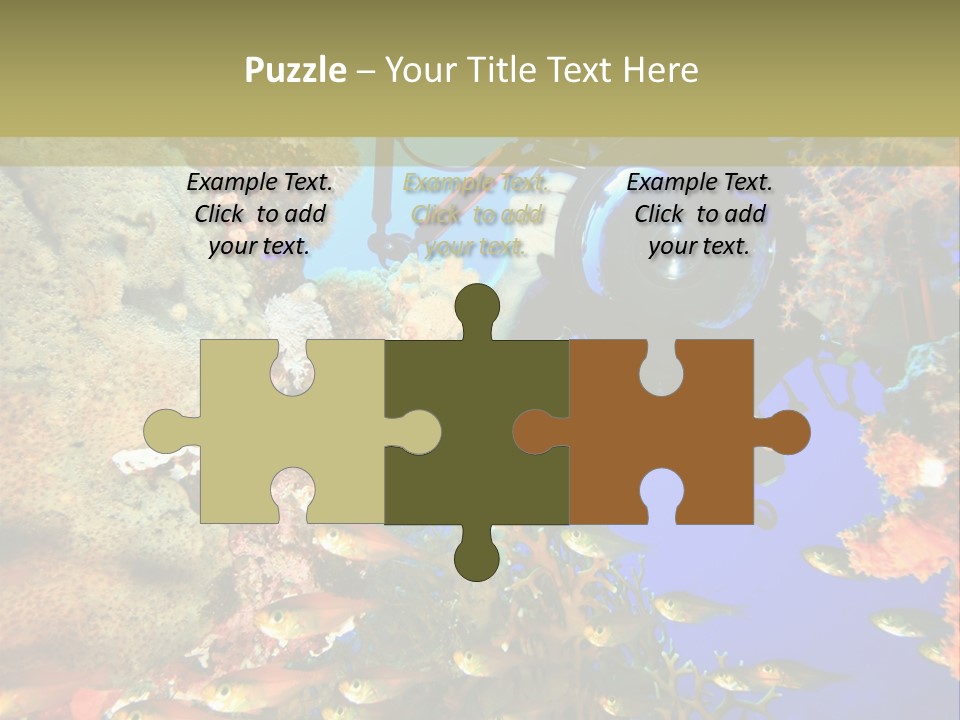 Underwater Dslr Sinai PowerPoint Template