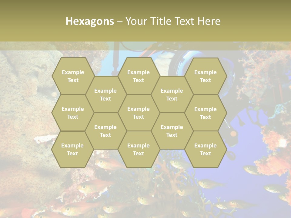 Underwater Dslr Sinai PowerPoint Template