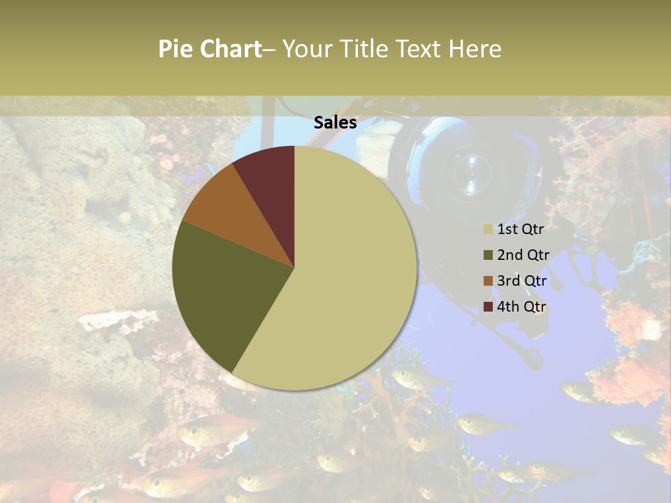 Underwater Dslr Sinai PowerPoint Template