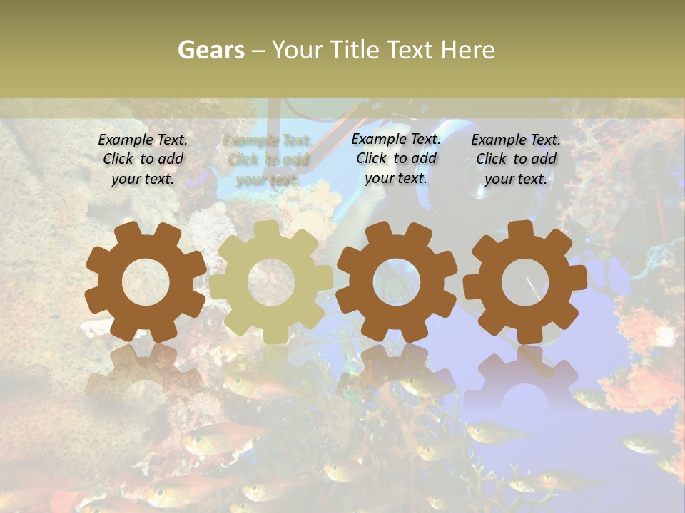 Underwater Dslr Sinai PowerPoint Template