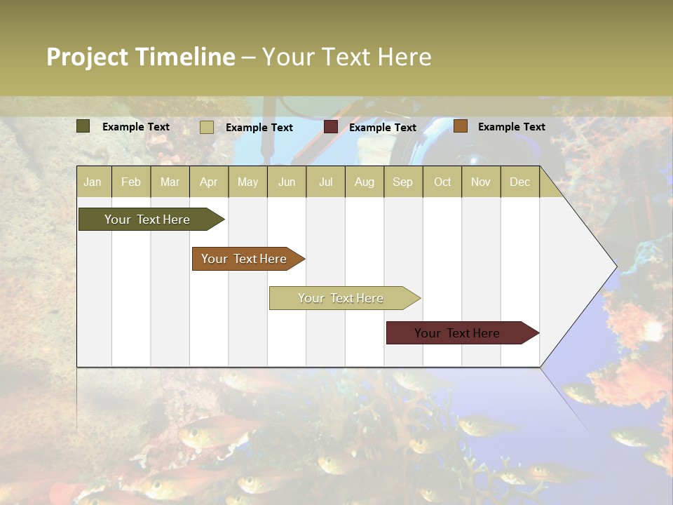 Underwater Dslr Sinai PowerPoint Template