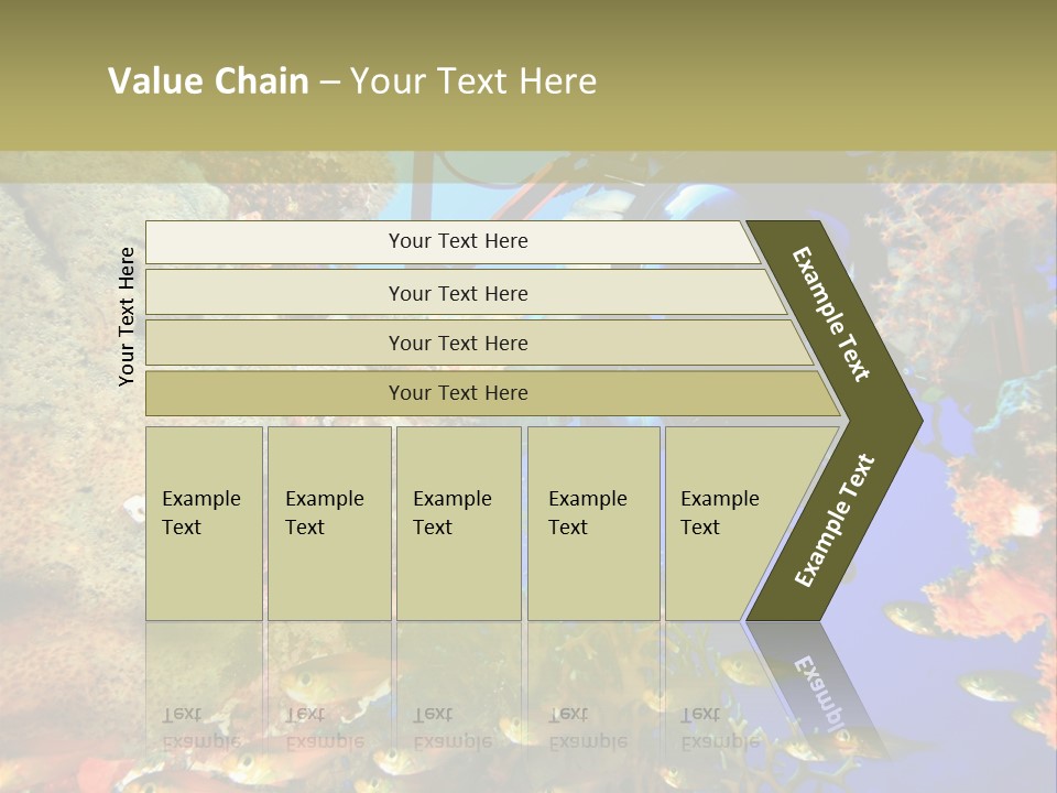 Underwater Dslr Sinai PowerPoint Template
