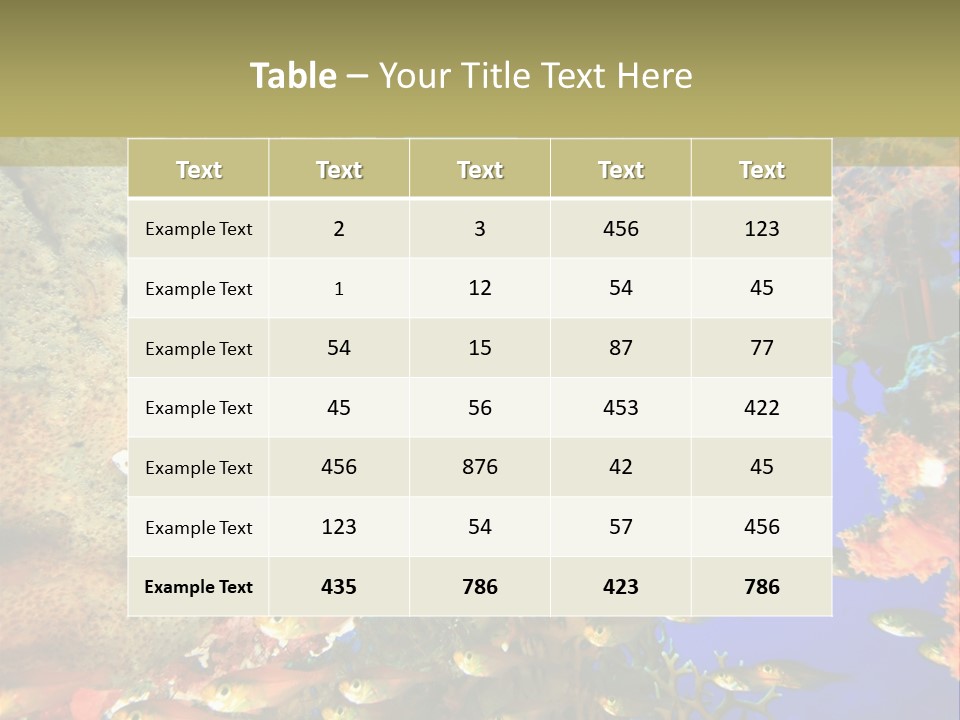 Underwater Dslr Sinai PowerPoint Template