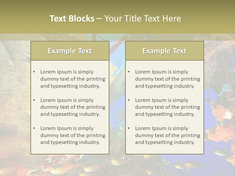 Underwater Dslr Sinai PowerPoint Template