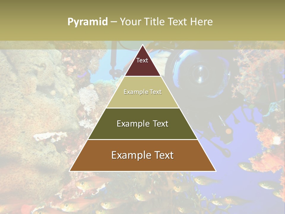 Underwater Dslr Sinai PowerPoint Template