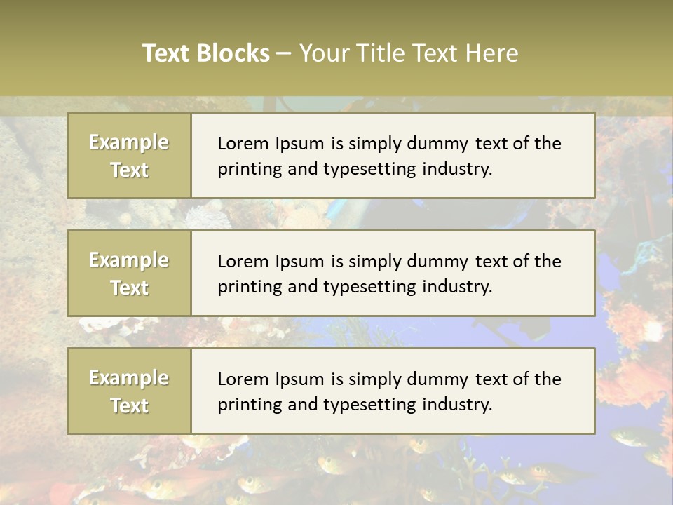Underwater Dslr Sinai PowerPoint Template