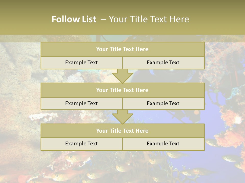 Underwater Dslr Sinai PowerPoint Template