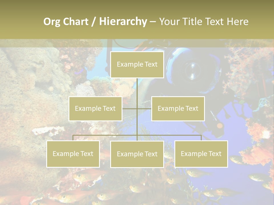 Underwater Dslr Sinai PowerPoint Template