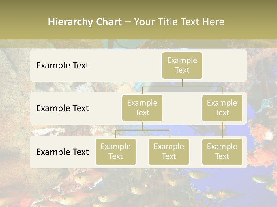 Underwater Dslr Sinai PowerPoint Template