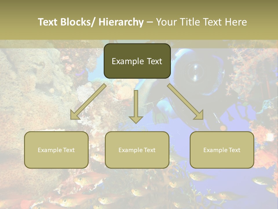 Underwater Dslr Sinai PowerPoint Template