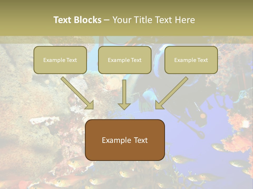 Underwater Dslr Sinai PowerPoint Template