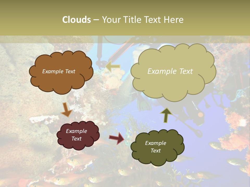 Underwater Dslr Sinai PowerPoint Template