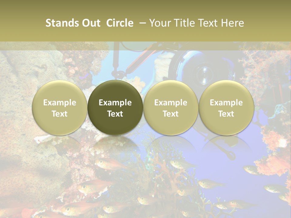Underwater Dslr Sinai PowerPoint Template