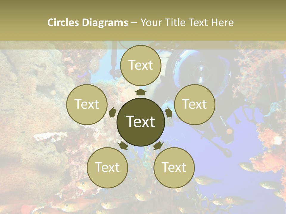 Underwater Dslr Sinai PowerPoint Template