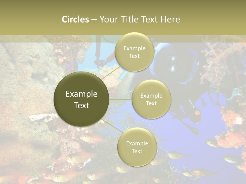 Underwater Dslr Sinai PowerPoint Template