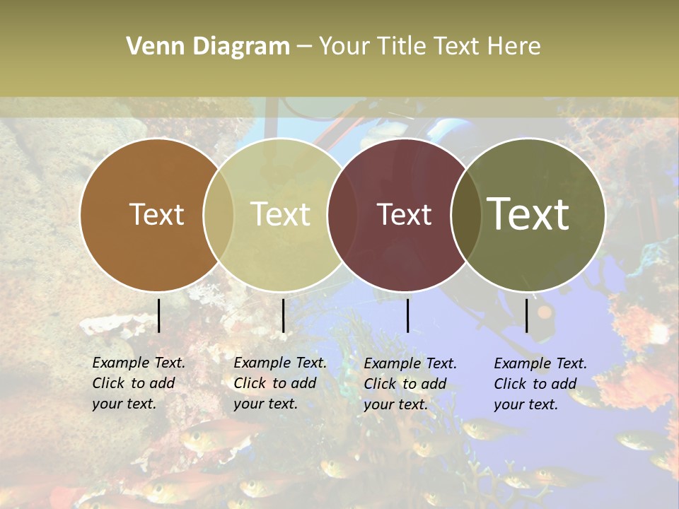 Underwater Dslr Sinai PowerPoint Template