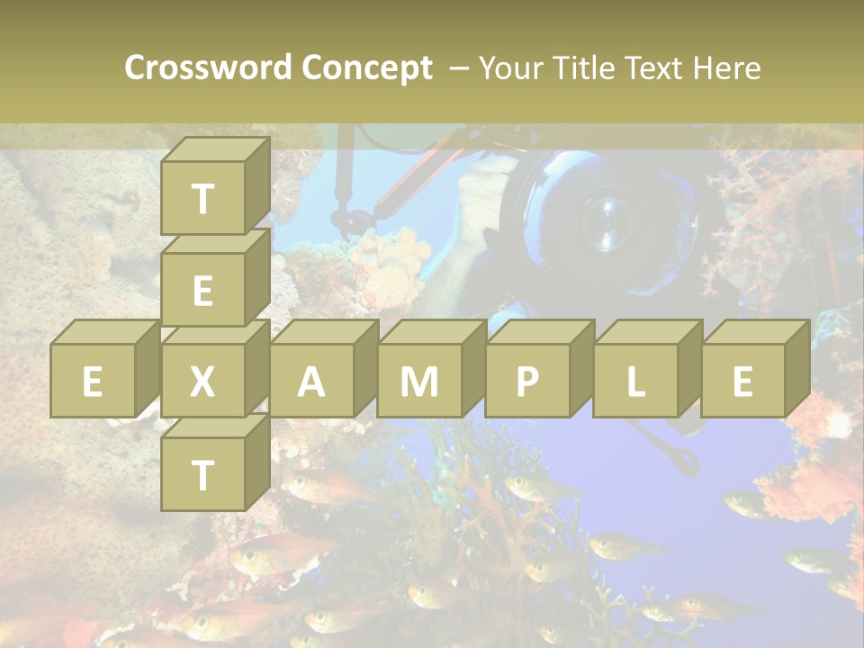 Underwater Dslr Sinai PowerPoint Template