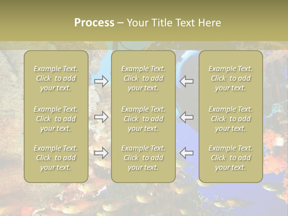 Underwater Dslr Sinai PowerPoint Template