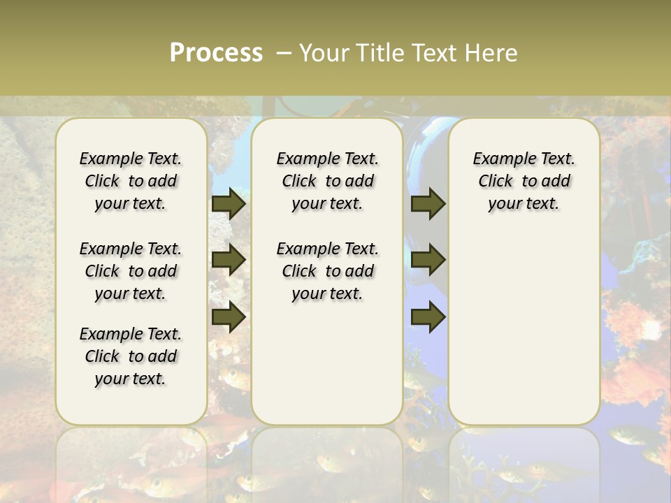 Underwater Dslr Sinai PowerPoint Template