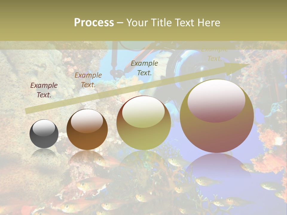 Underwater Dslr Sinai PowerPoint Template