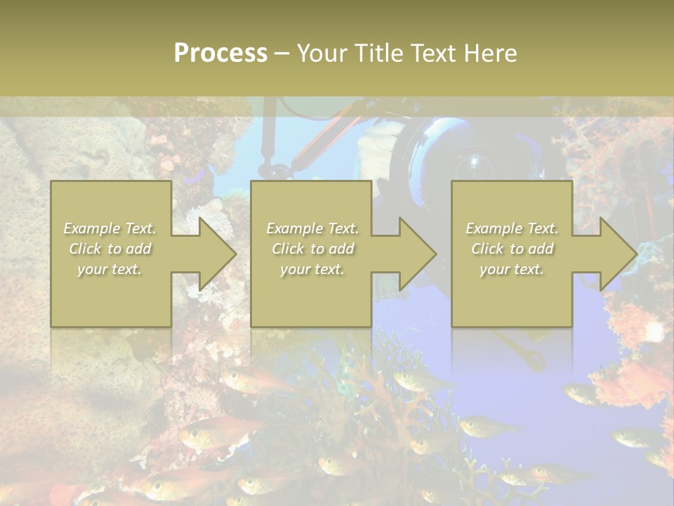 Underwater Dslr Sinai PowerPoint Template