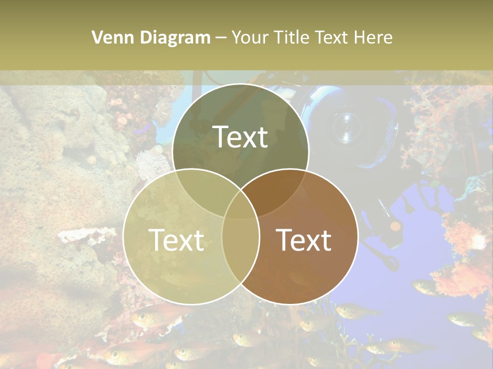 Underwater Dslr Sinai PowerPoint Template