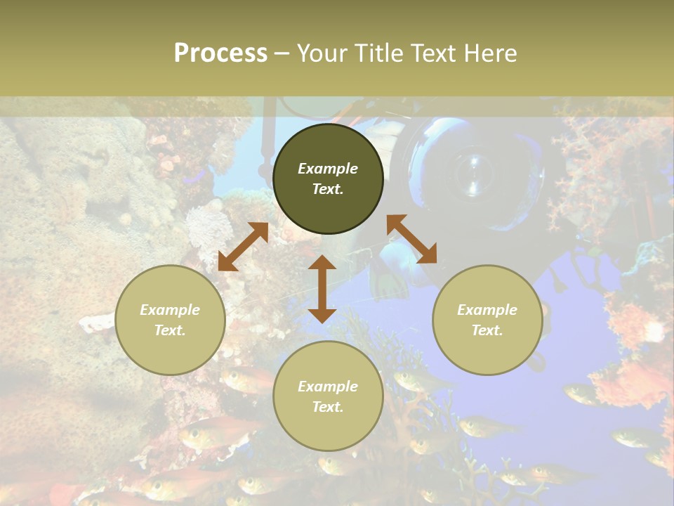 Underwater Dslr Sinai PowerPoint Template
