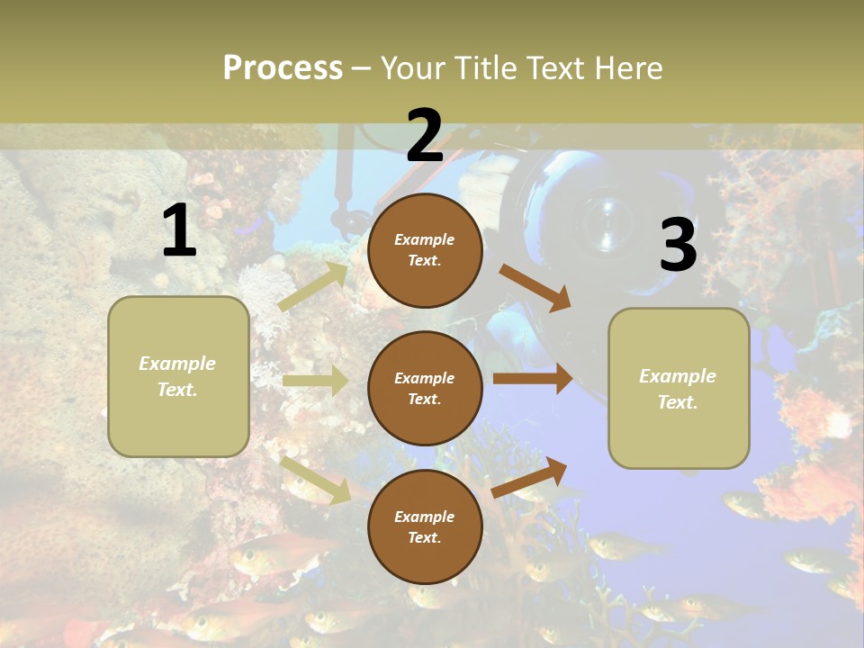 Underwater Dslr Sinai PowerPoint Template