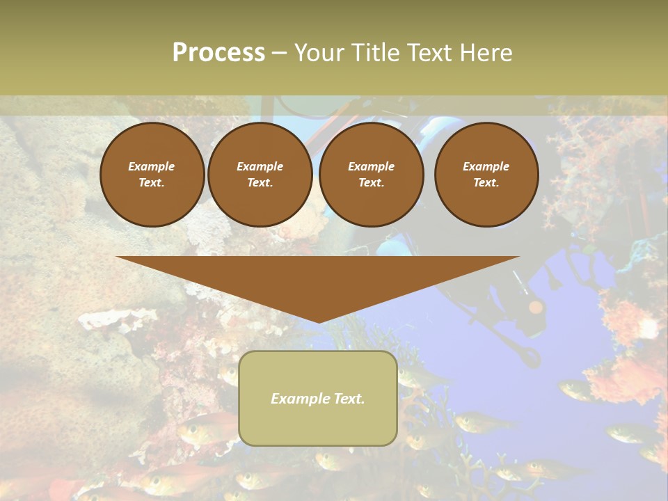 Underwater Dslr Sinai PowerPoint Template