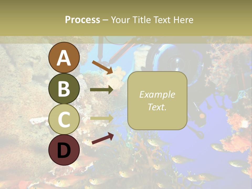 Underwater Dslr Sinai PowerPoint Template