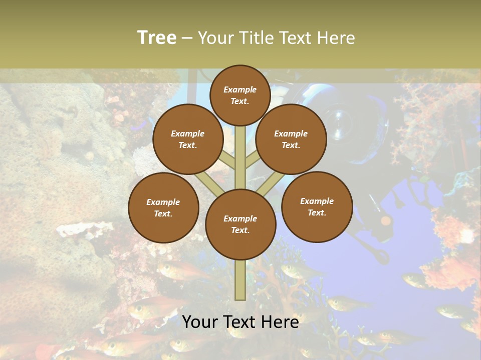 Underwater Dslr Sinai PowerPoint Template