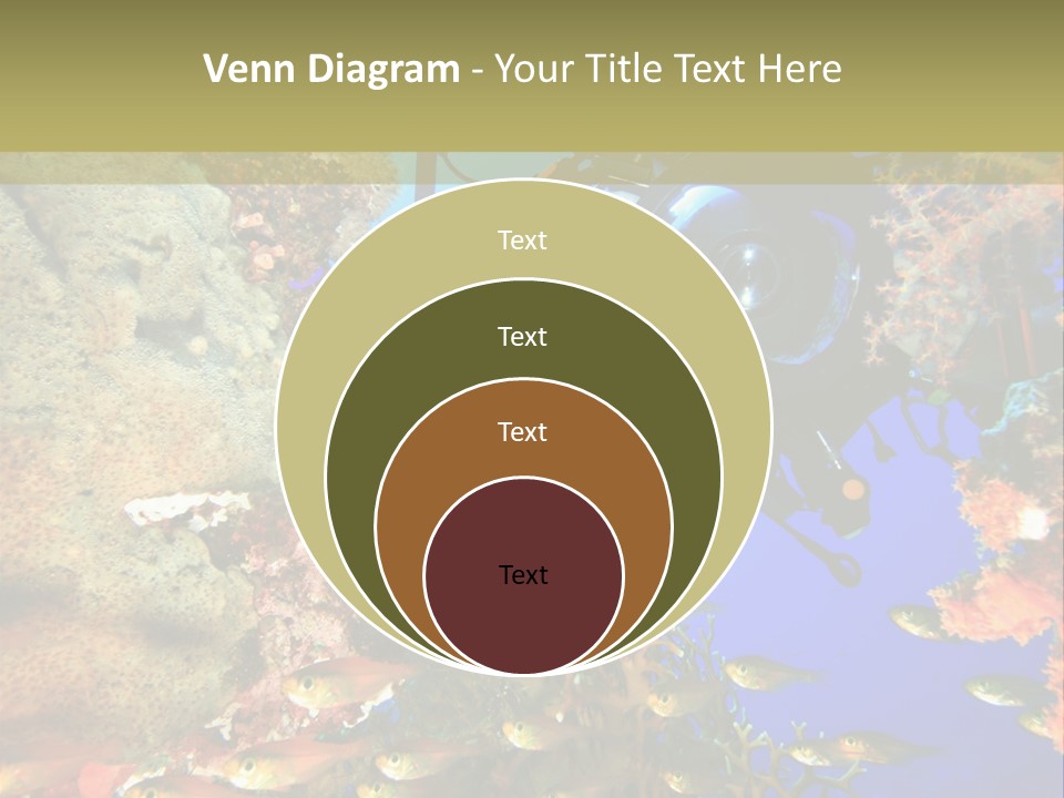 Underwater Dslr Sinai PowerPoint Template