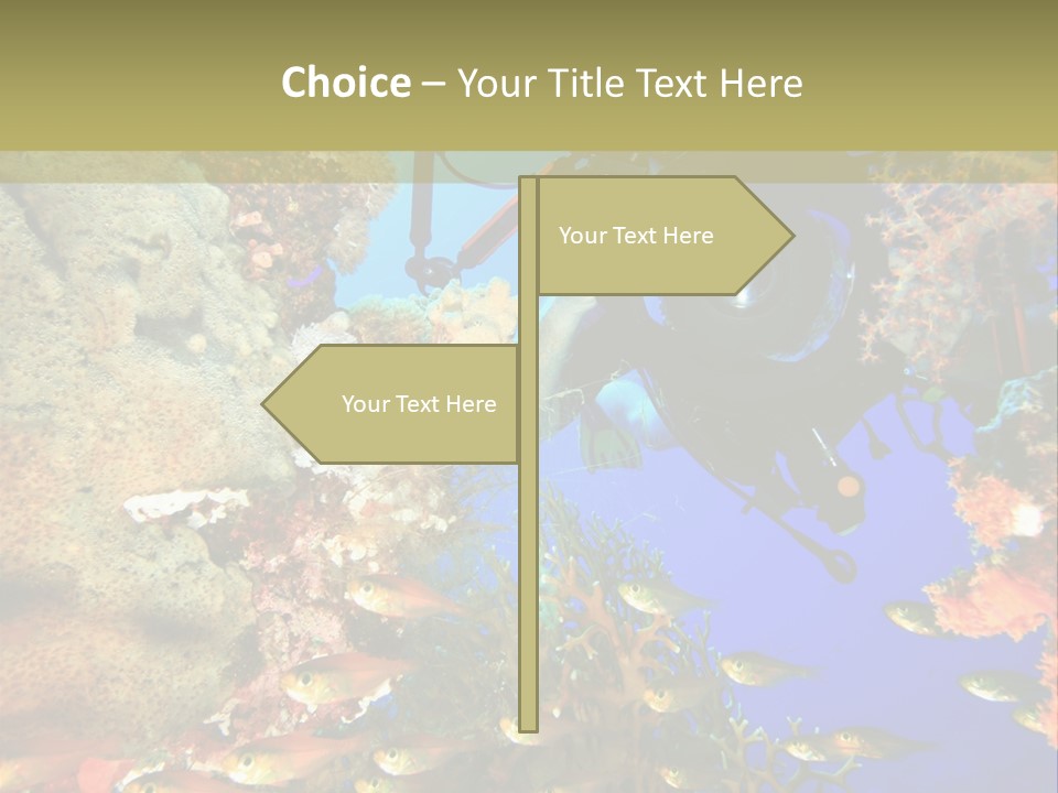 Underwater Dslr Sinai PowerPoint Template